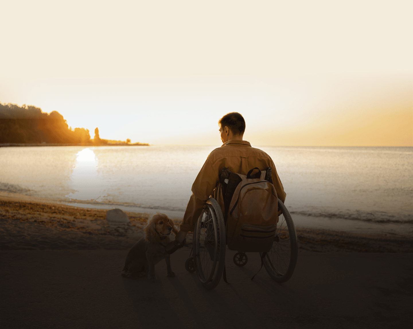 Sunset scene with person in wheelchair and dog